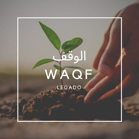 Waqf